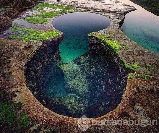 Dünyadan ilginç fotoğraflar görenlerin ağzını açık bırakıyor! 