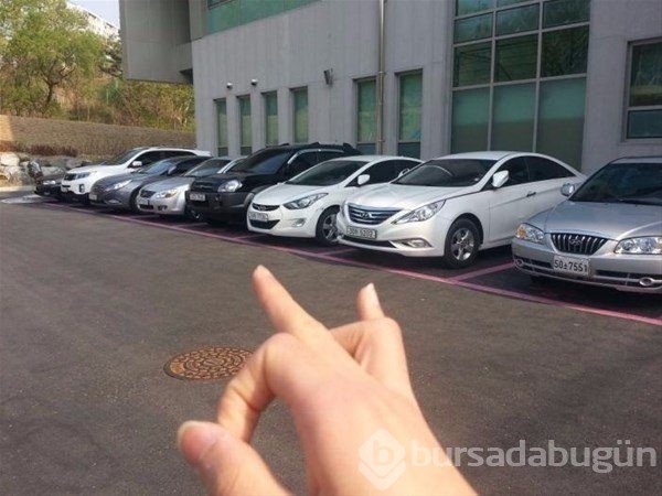 Dünyadan ilginç fotoğraflar görenlerin ağzını açık bırakıyor! 
