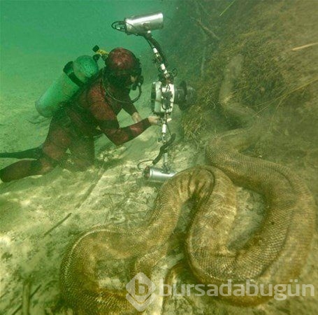 Dünyadan ilginç fotoğraflar görenlerin ağzını açık bırakıyor! 