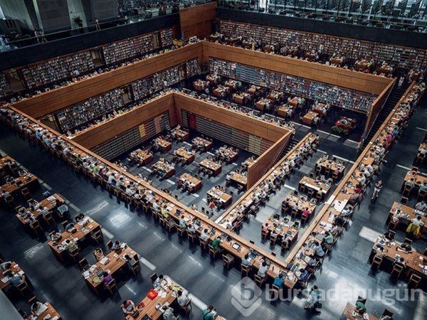 Dünyadan ilginç fotoğraflar görenlerin ağzını açık bırakıyor! 