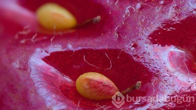 Dünyadan ilginç fotoğraflar görenlerin ağzını açık bırakıyor! 