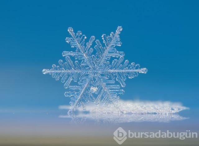 Dünyadan ilginç fotoğraflar görenlerin ağzını açık bırakıyor! 