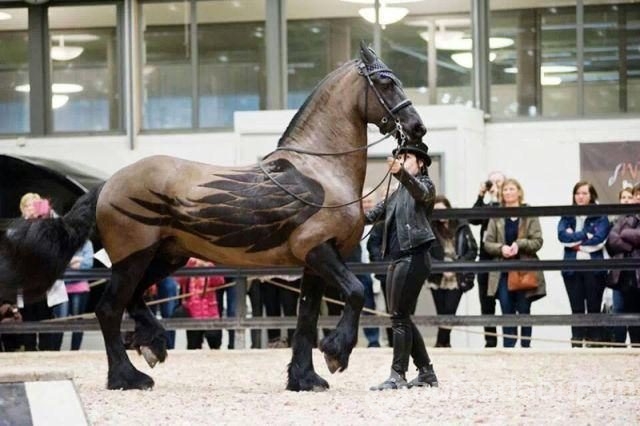 Dünyadan ilginç fotoğraflar görenlerin ağzını açık bırakıyor! 