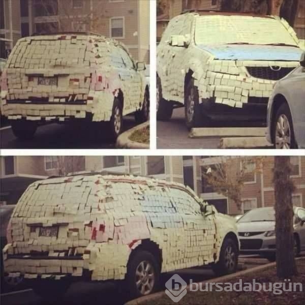 Güne damga vuran kareler