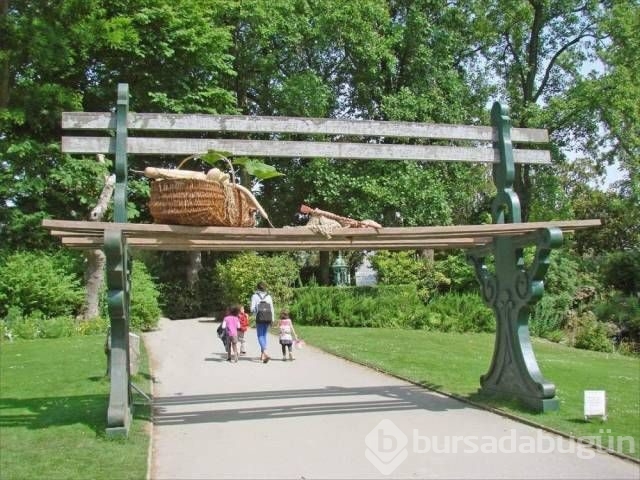Güne damga vuran kareler