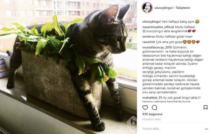 Ünlülerin olay İnstagram paylaşımları! (19.03.2018)