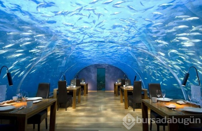 Dünyanın en ilginç restoranları! 