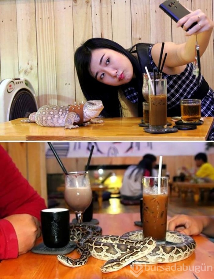 Dünyanın en ilginç restoranları! 