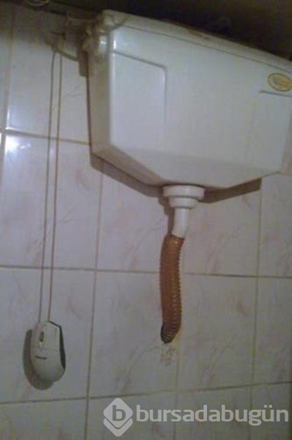 Yurdum insanı bakın neler yaptı! 