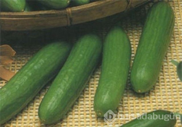 Bunları daha önce duymadınız