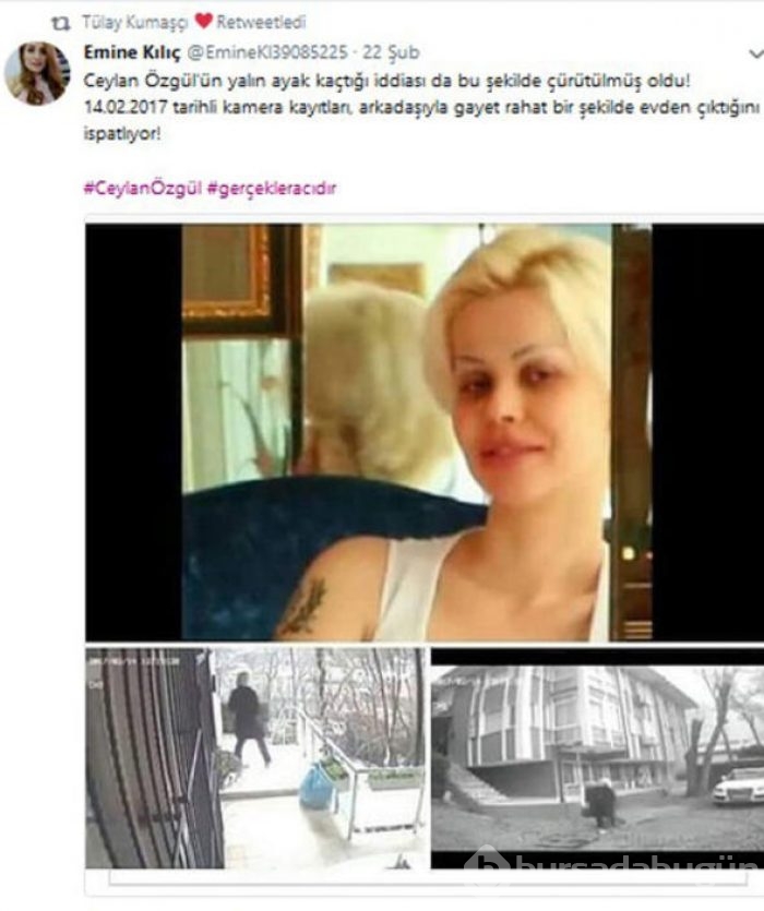 Kedicik firar mı etti! 