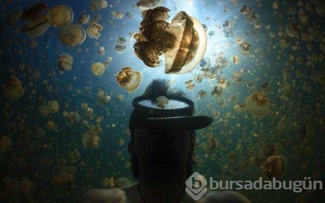 Günün en çok paylaşılan fotoğrafları