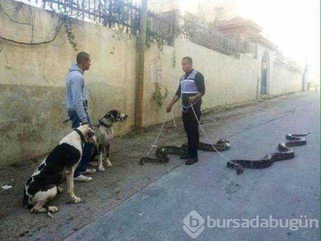 Günün en çok paylaşılan fotoğrafları