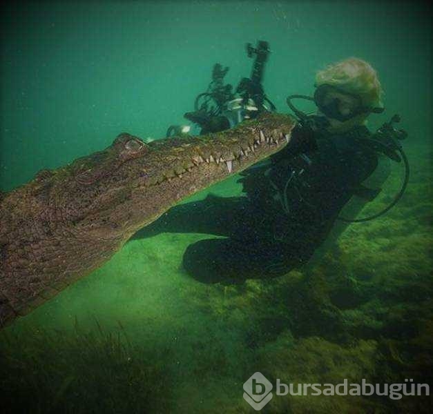 Günün en çok paylaşılan fotoğrafları