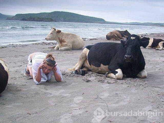 Günün en çok paylaşılan fotoğrafları