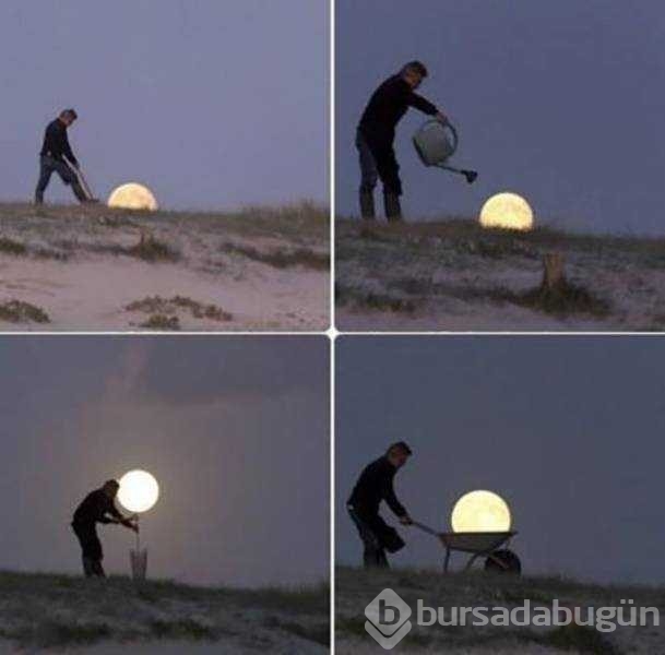 Günün en çok paylaşılan fotoğrafları