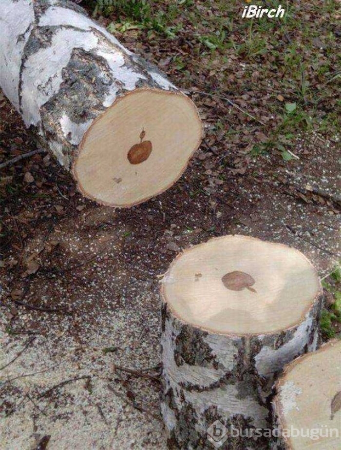 Günün en çok paylaşılan fotoğrafları
