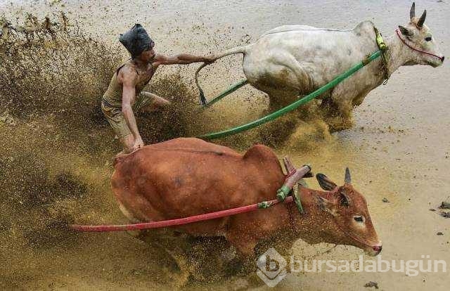 Günün en çok paylaşılan fotoğrafları