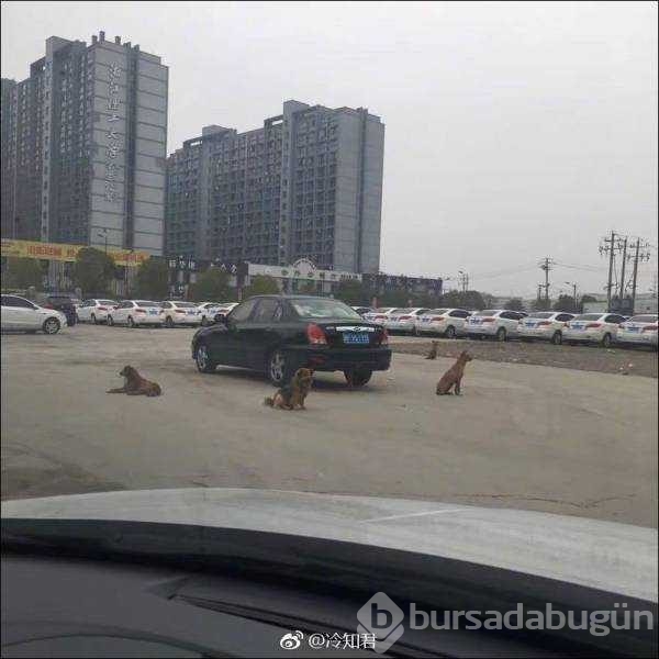 Günün en çok paylaşılan fotoğrafları