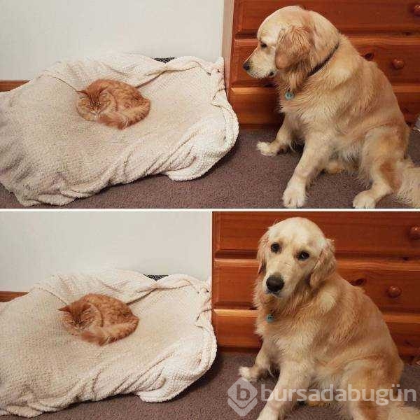 Günün en çok paylaşılan fotoğrafları