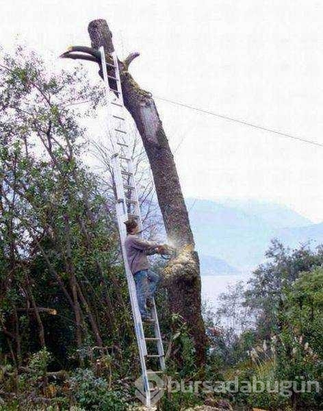 Günün en çok paylaşılan fotoğrafları