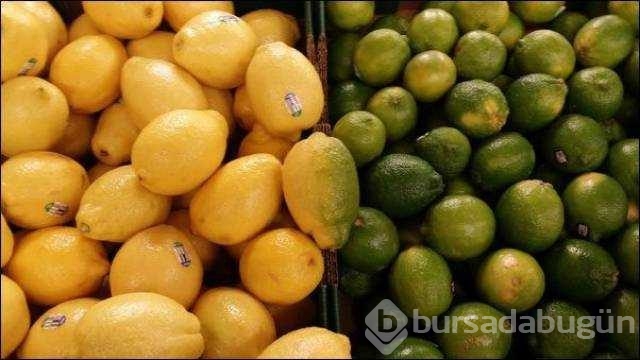Günün en çok paylaşılan fotoğrafları