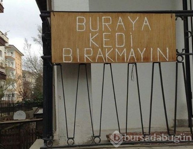 Yudum insanı şaşırtıyor! 
