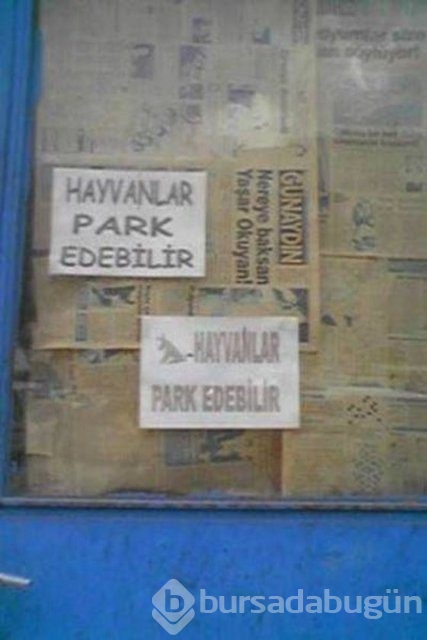 Yudum insanı şaşırtıyor! 