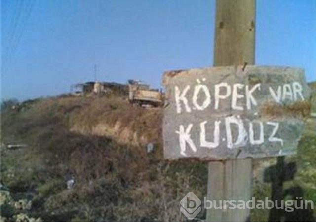 Yudum insanı şaşırtıyor! 