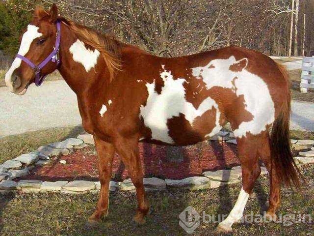 Günün en çok paylaşılan fotoğrafları