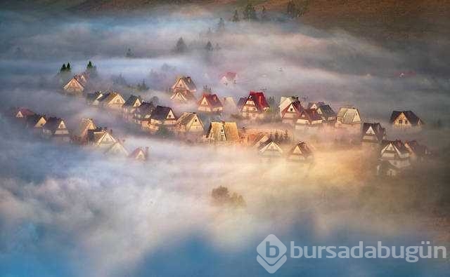 Günün en çok paylaşılan fotoğrafları