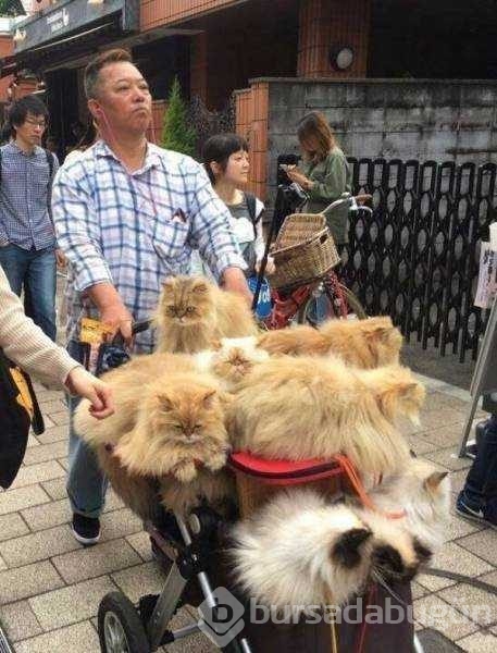 Günün en çok paylaşılan fotoğrafları