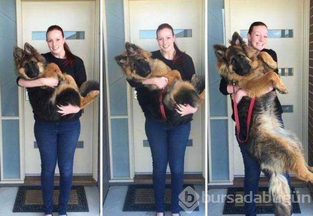 Günün en çok paylaşılan fotoğrafları