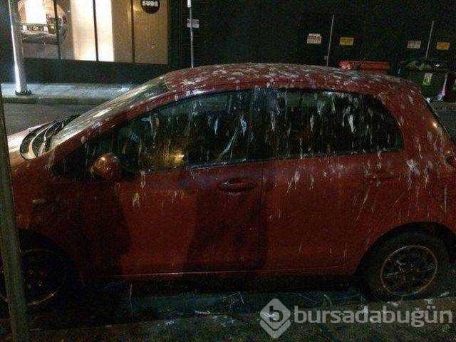 Günün en çok paylaşılan fotoğrafları