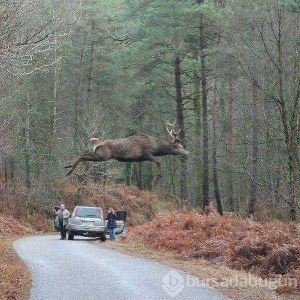 Günün en çok paylaşılan fotoğrafları