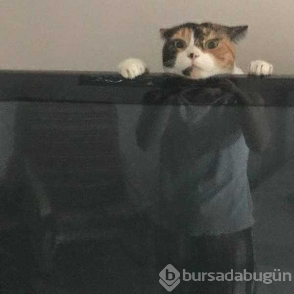 Günün en çok paylaşılan fotoğrafları