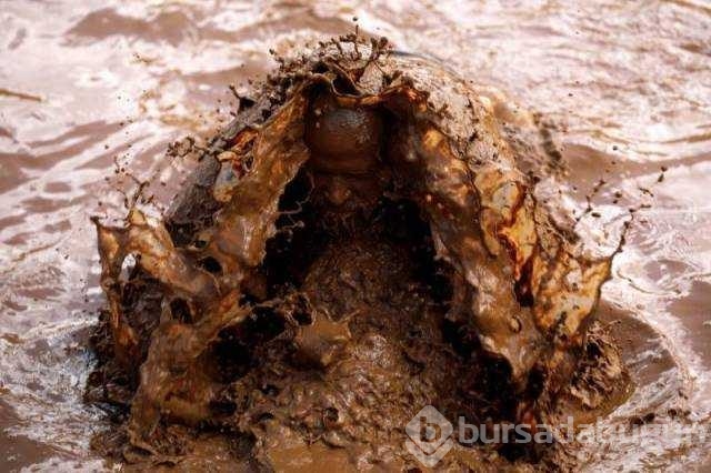 Günün en çok paylaşılan fotoğrafları