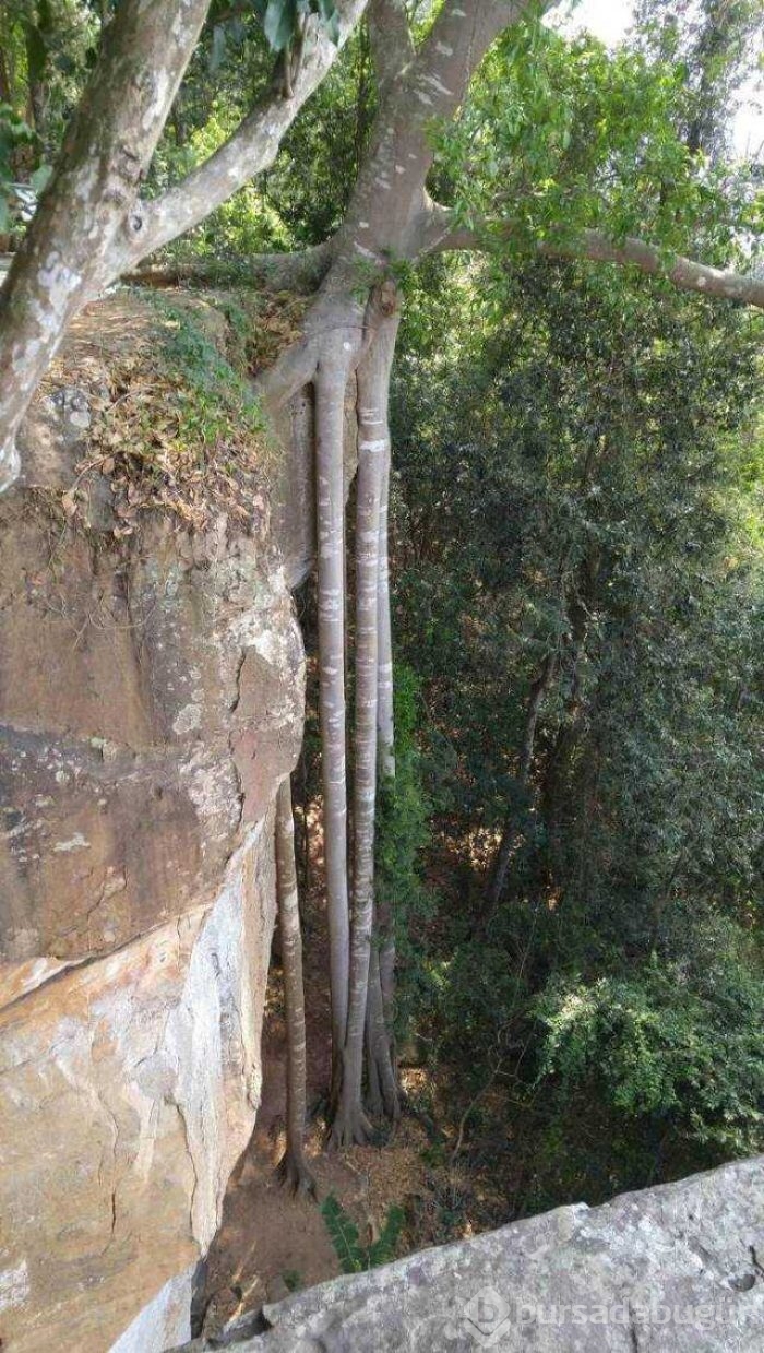 Günün en çok paylaşılan fotoğrafları
