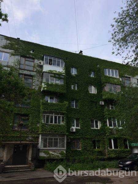 Günün en çok paylaşılan fotoğrafları