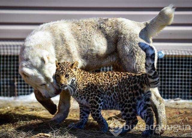 Günün en çok paylaşılan fotoğrafları