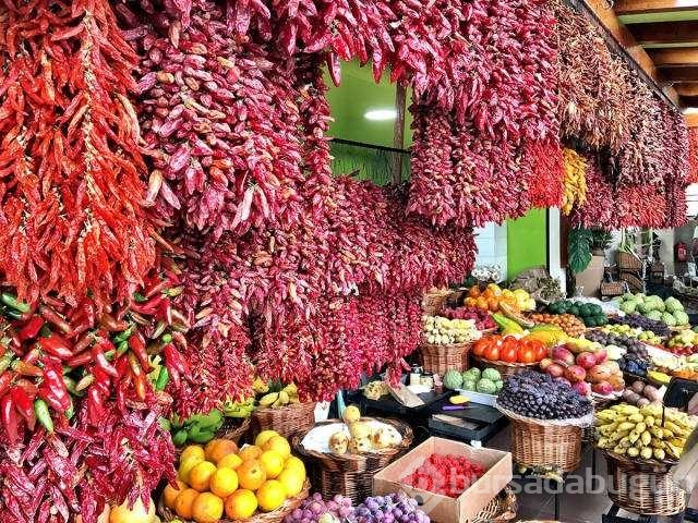 Günün en çok paylaşılan fotoğrafları