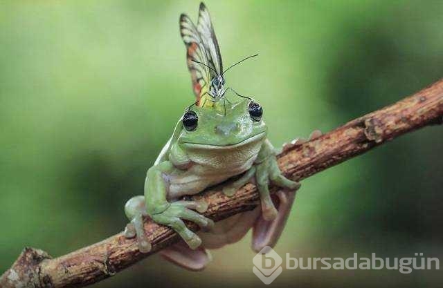 Günün en çok paylaşılan fotoğrafları