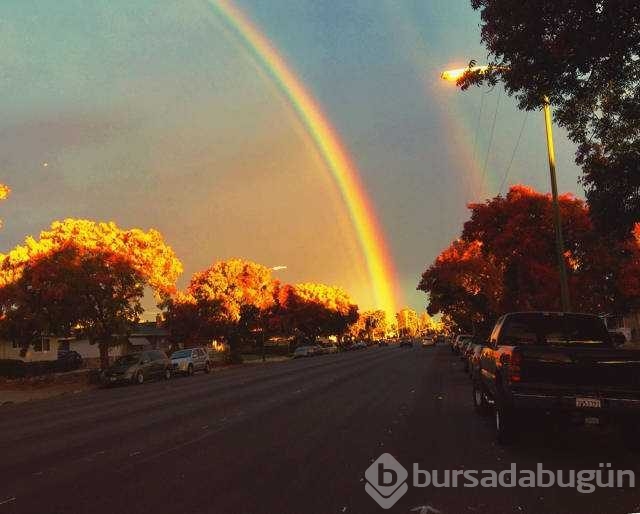 Günün en çok paylaşılan fotoğrafları