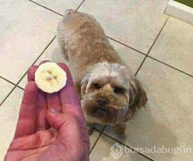Günün en çok paylaşılan fotoğrafları