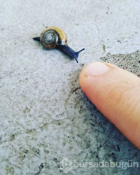 Günün en çok paylaşılan fotoğrafları