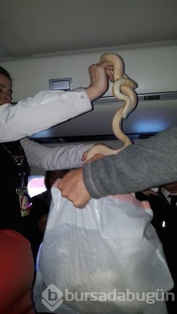 Hostesleri çılgına çeviren o kareler insanı çıldırtacak cinsten! 