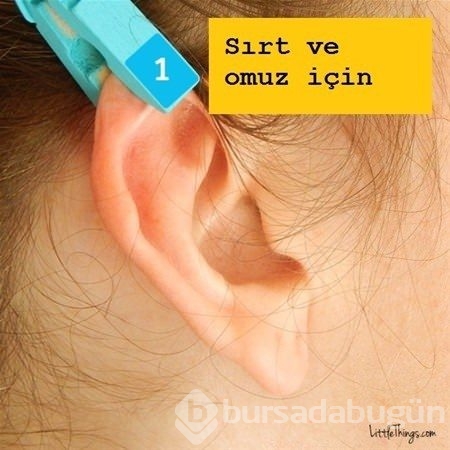 Bunları biliyor muydunuz? 