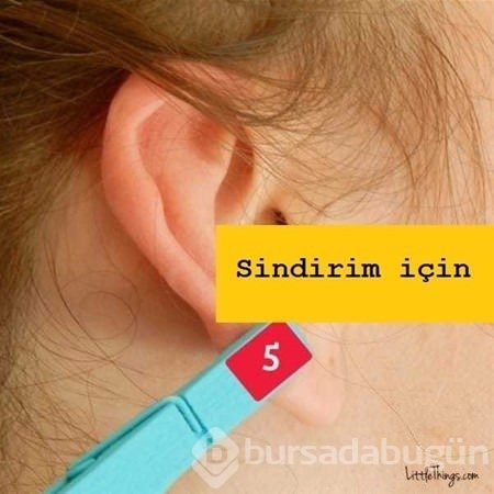 Bunları biliyor muydunuz? 