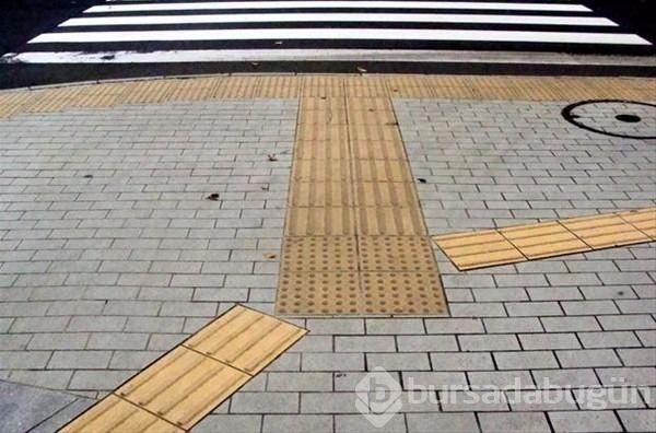 Bunları biliyor muydunuz? 