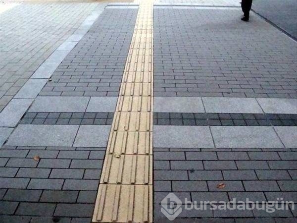 Bunları biliyor muydunuz? 